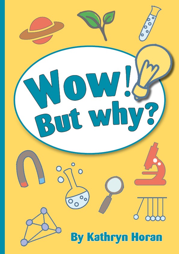 Wow, but why? front cover