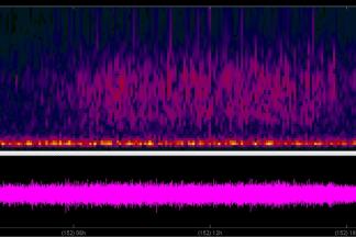 Seismogram
