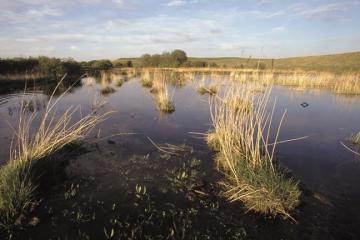 Fairburn Ings site