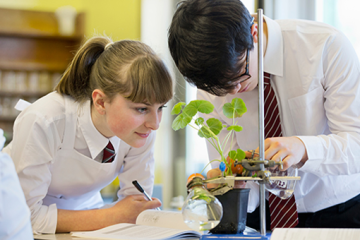 teenagers in a lab working with plants