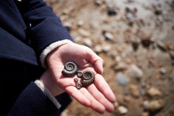 Student holding ammonite fossils