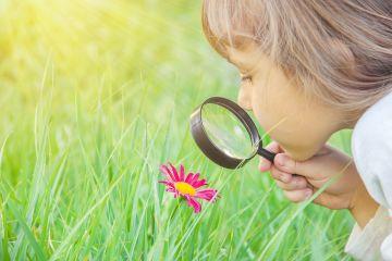 Young girl using a magnifying glass to look at a flower in a grass meadow