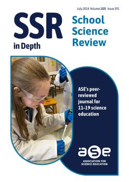 SSR in Depth 391 Cover