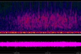 Seismogram